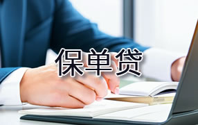 阿拉善盟保单贷