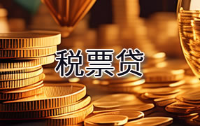 阿拉善盟税票贷